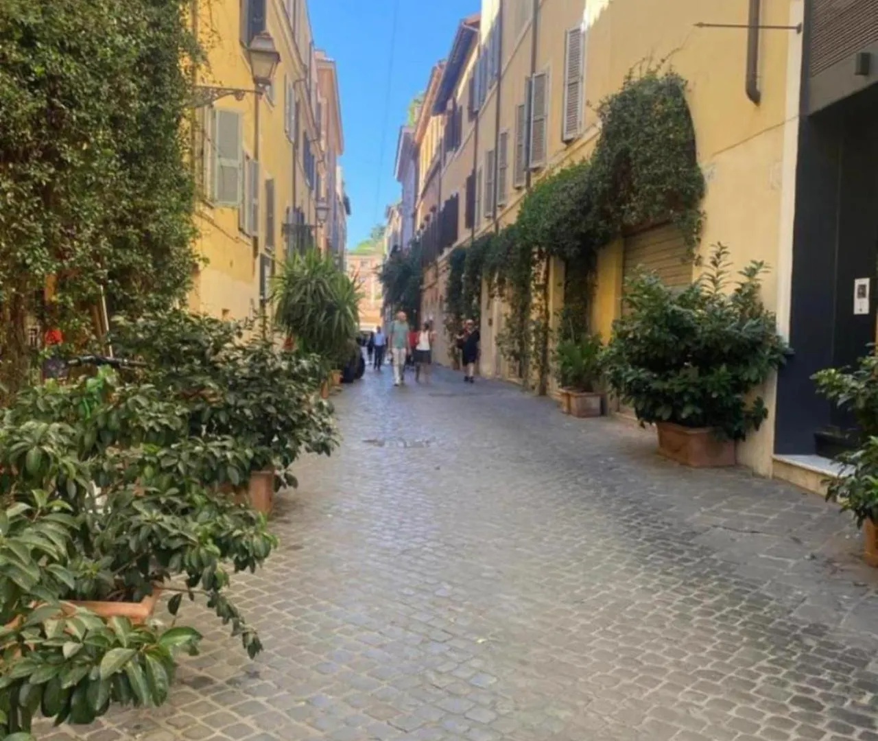 Margutta Domitia Home Rome